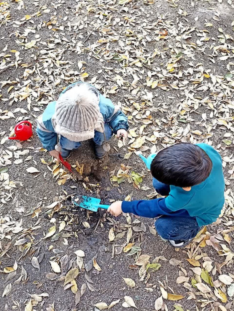 آشپزی در دنیای زیبای خیالی